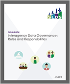 Interagency Data Governance: Roles and Responsibilities